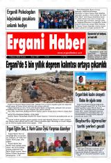 ERGANİ HABER