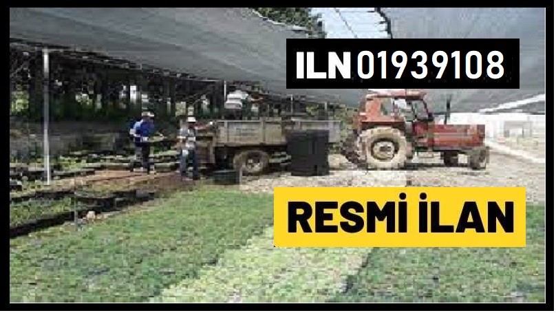 DİKEY BAHÇE RÖLYEF YAPIM İŞİ