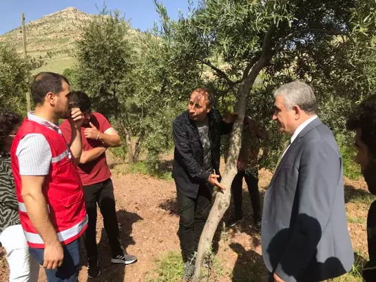 Zeytin üreticilerine eğitim