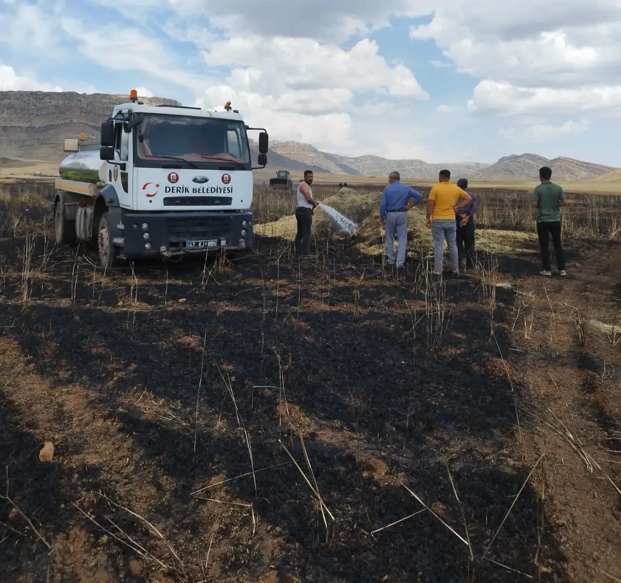 Derik’te 120 dönüm buğday tarlası küle döndü