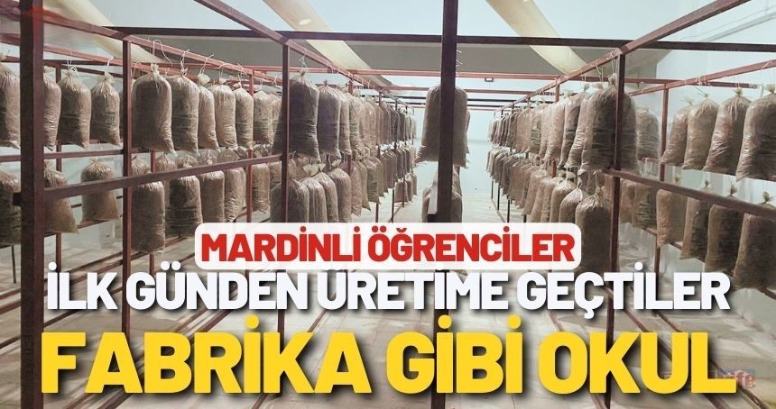 Okulu seraya dönüştüren öğrenciler, ilk günden üretime geçtiler
