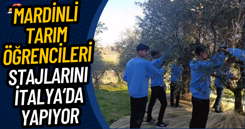Mardinli tarım öğrencileri, stajlarını İtalya’da yapıyor