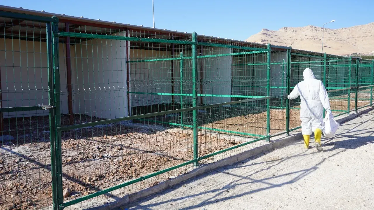 Derik Belediyesi’nden Can Dostlarımıza Yeni Yaşam Alanı