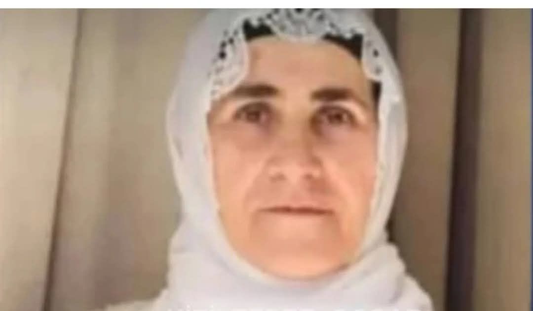 Derik’te elektrik akımına kapılan kadın hayatını kaybetti