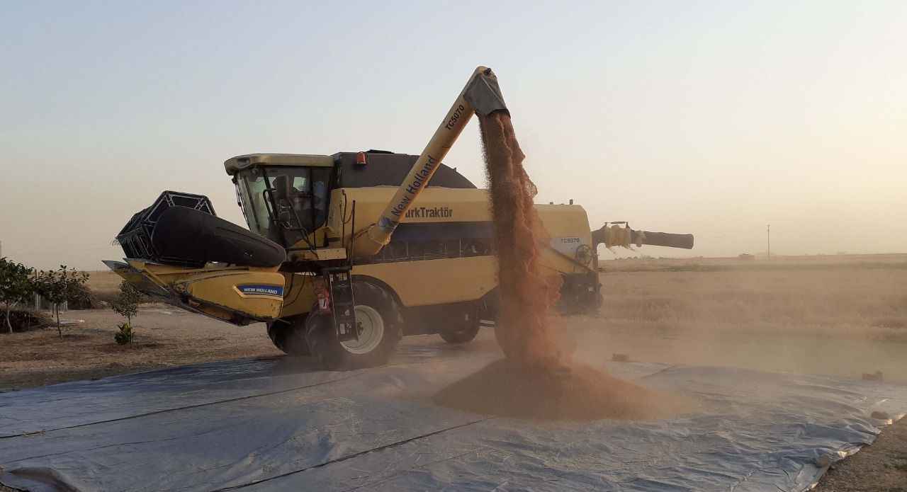Buğday üretim maliyeti belli oldu… Alım fiyatı ne olacak?