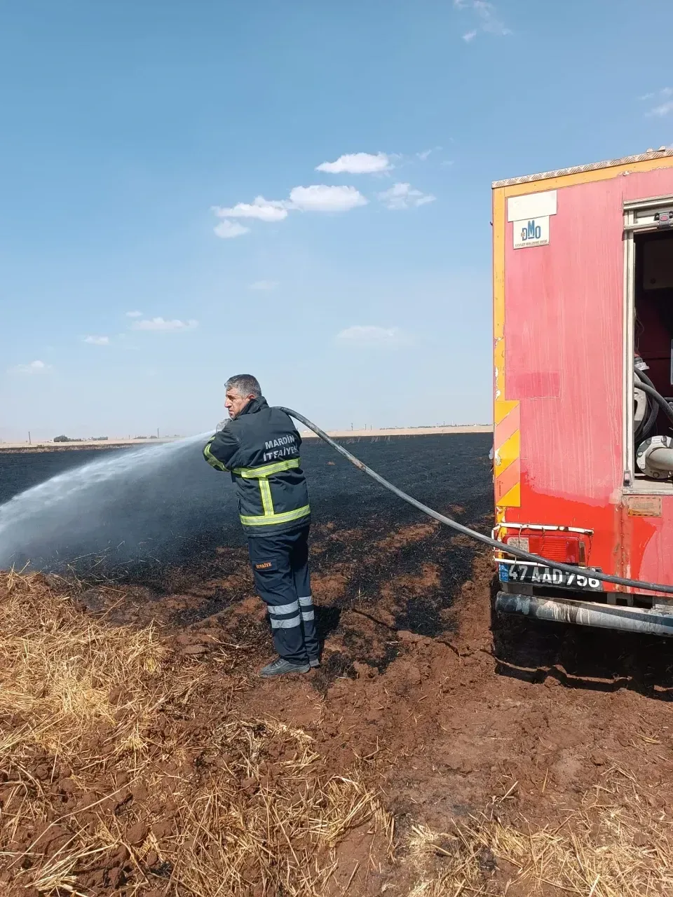Derik’te buğday tarlasında yangın: 400 dekarlık alan kül oldu